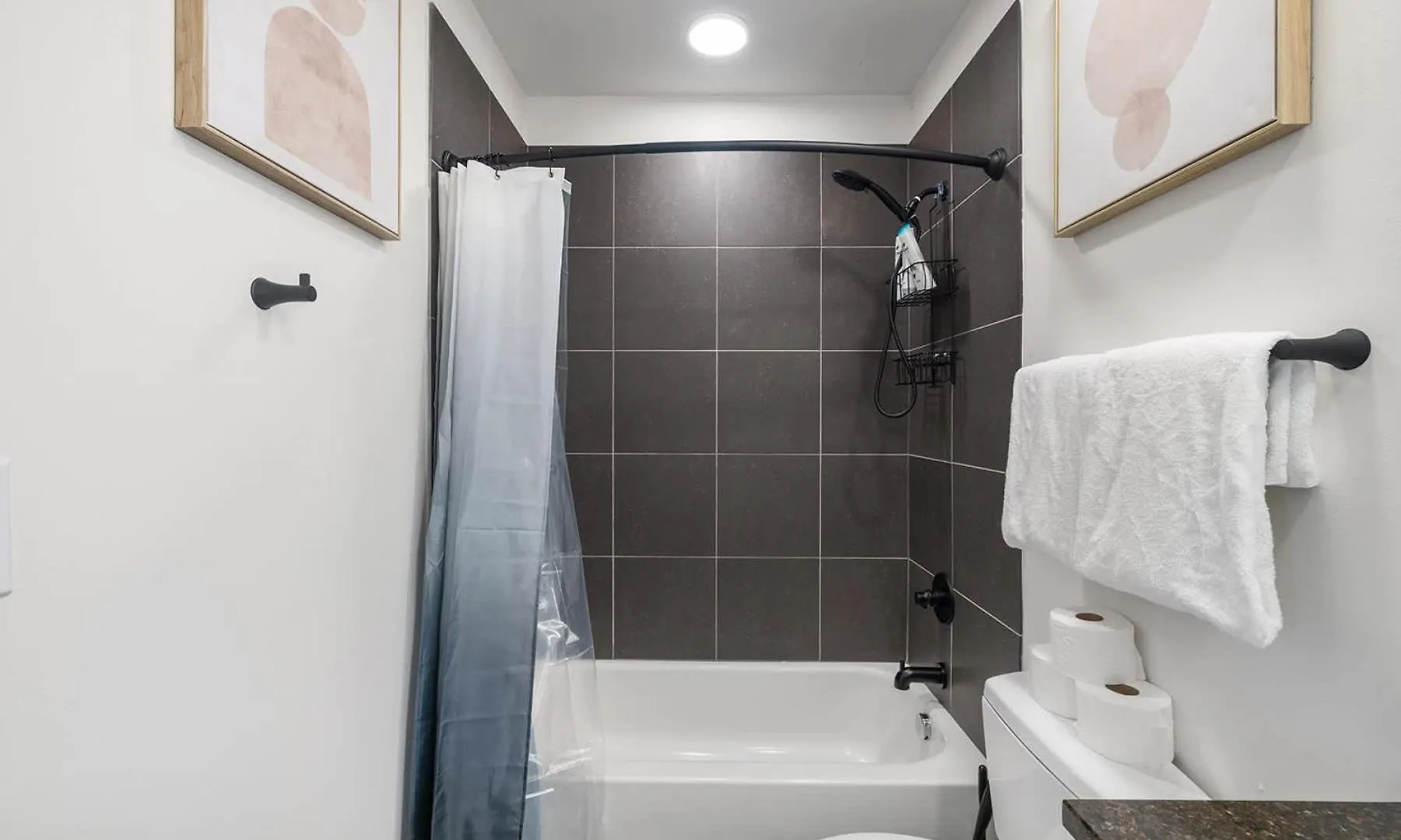 Spacious 2Bd With Private Balcony And Free Parking 2 Charlotte Apartment